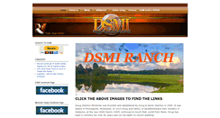 Desktop Screenshot of dsmi.org